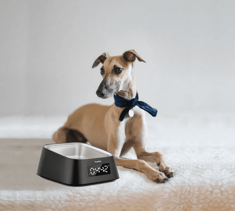 Дизайн умной миски для животных Pawbby Smart Pet Bowl 